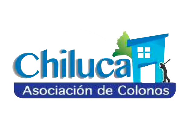 Colaborador 1