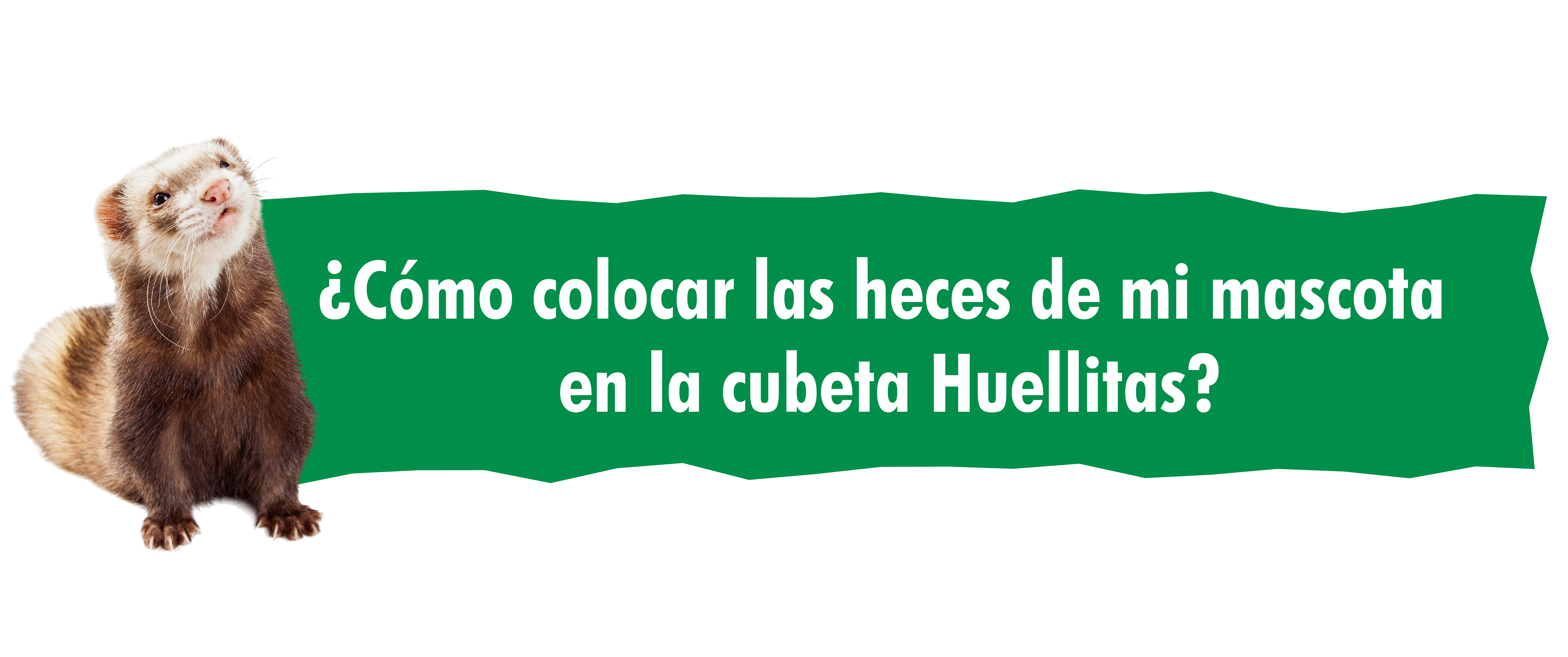 ¿Cómo colocar las heces de mi mascota en la cubeta Huellitas?
