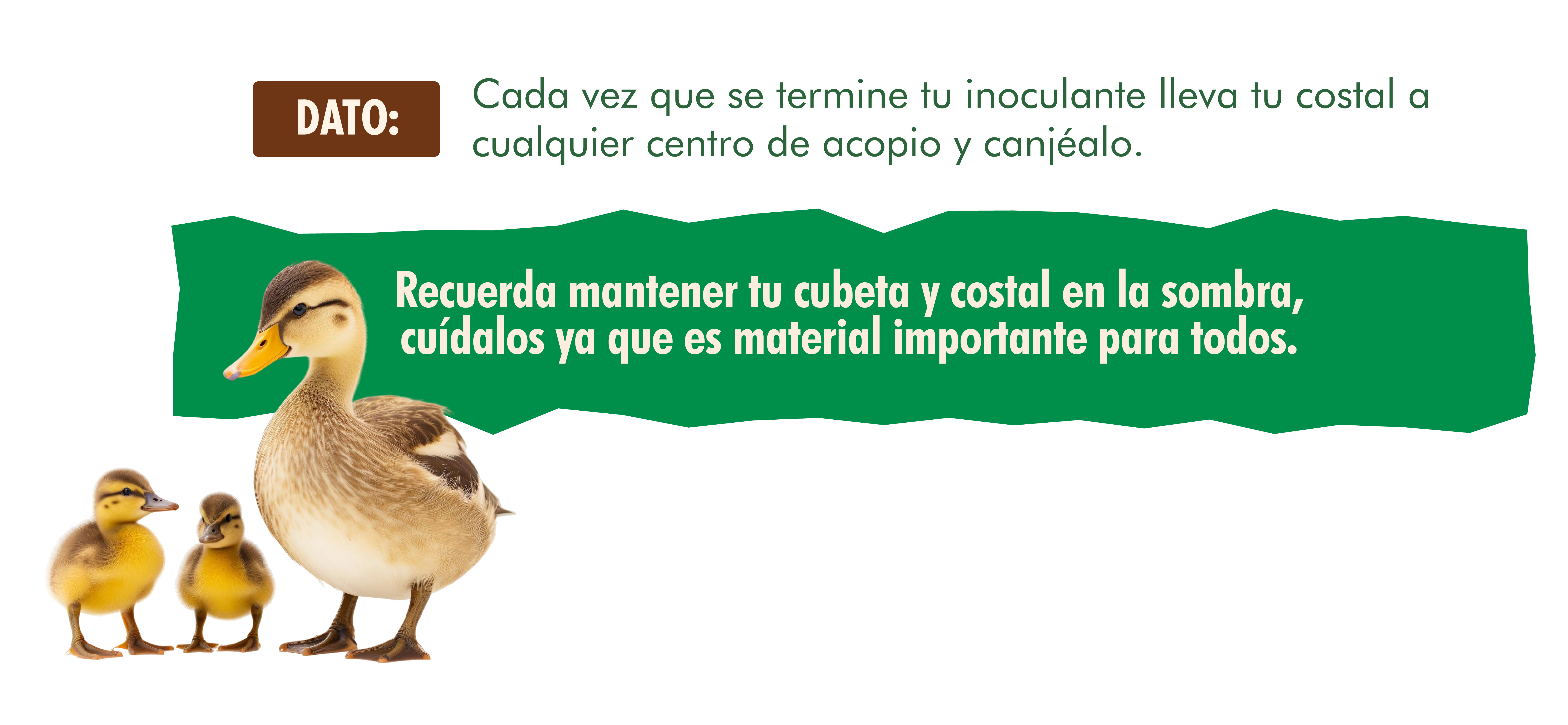 Recuerda mantener tu cubeta y costal en la sombra