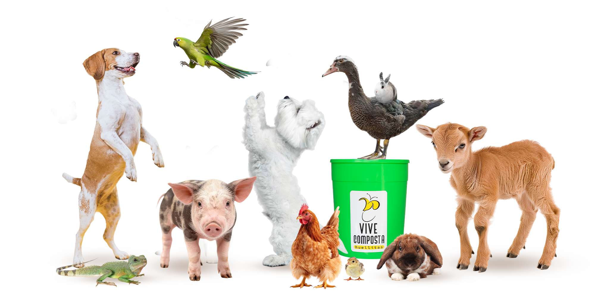 Mascotas Huellitas